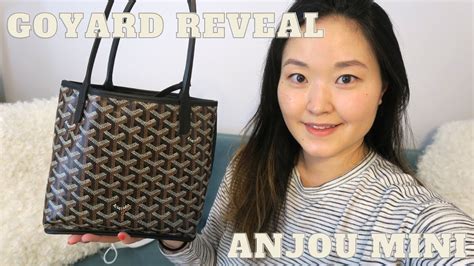 price of goyard mini anjou|goyard anjou pm price.